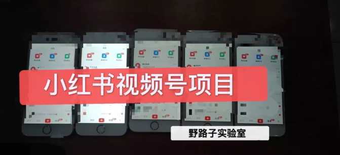 野路子小红书视频号1.0项目，直接上手操作就能赚钱的视频号项目-5D资源网