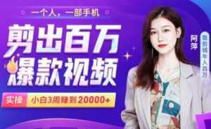 小白易上手的手机剪辑赚钱课,抓住短视频风口月赚2万+-5D资源网