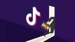 抖音MCN孵化课程,帮助商家拓客,帮助达人更好变现的课程,从0基础到超级IP-5D资源网