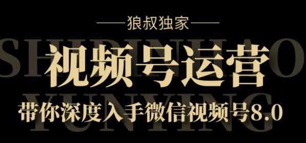 狼叔独家：视频号8.0运营实战课价值1280元-5D资源网