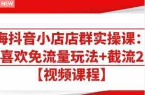 大海抖音小店店群实操课：猜你喜欢免流量玩法+截流 2.0-5D资源网