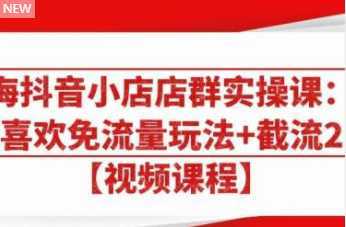 大海抖音小店店群实操课：猜你喜欢免流量玩法+截流 2.0-5D资源网