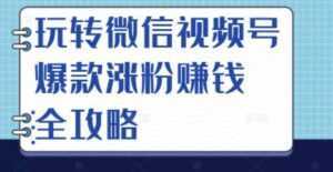 玩转微信视频号爆款涨粉赚钱全攻略，让你快速抓住流量风口，收获红利财富-5D资源网