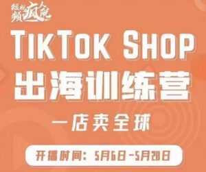疯人院:TikTok Shop出海训练营(一店卖全球),出海抢占全球新流量-5D资源网