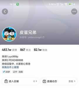 沙雕动画-皮蛋兄弟·熊猫人动画教学制作,全套素材文案教程分享!-5D资源网