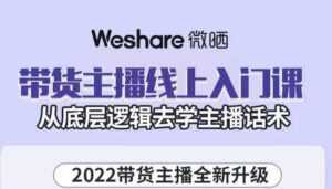 大木子·带货主播线上入门课,从底层逻辑去学主播话术-5D资源网