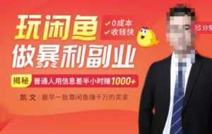 【闲鱼无货源赚钱】一部手机开启闲鱼副业,0成本用信息差日赚1000+-5D资源网