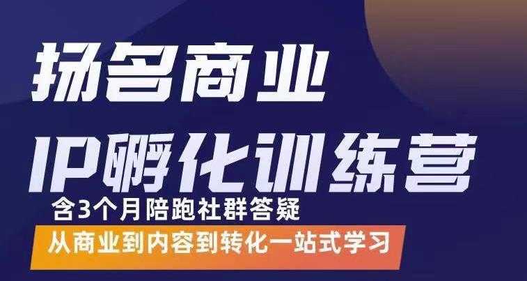 杨名商业IP孵化训练营，从商业到内容到转化一站式学 价值5980元-5D资源网