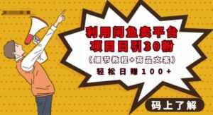利用闲鱼卖平台项目课程资源日引流30+精准粉丝，轻松日赚100+，积累人脉可实现二次变-5D资源网