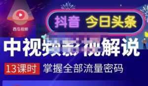 嚴如意·中视频影视解说—掌握流量密码,自媒体运营创收,批量运营账号-5D资源网