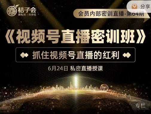 桔子会《视频号直播密训班》，抓住视频号直播的红利 价值12800-5D资源网