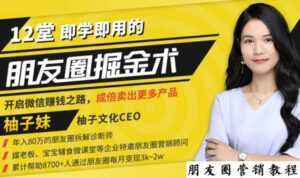 【营销必学】12堂学之即用的朋友圈掘金术:开启你的副业赚钱之路-5D资源网