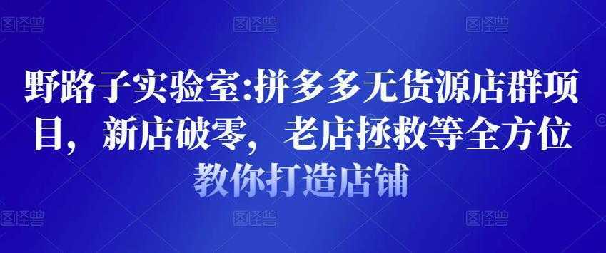 野路子实验室:拼多多无货源店群项目，新店破零，老店拯救等全方位教你打造店铺-5D资源网