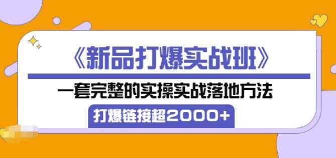 凌童《新品打爆实战班》,一套完整的实操实战落地方法，打爆链接超2000+（28节课)-5D资源网