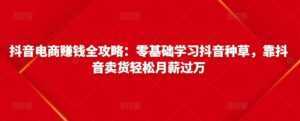 抖音电商赚钱全攻略：零基础学习抖音种草，靠抖音卖货轻松月薪过万-5D资源网