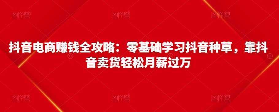 抖音电商赚钱全攻略：零基础学习抖音种草，靠抖音卖货轻松月薪过万-5D资源网