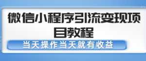 微信小程序引流变现项目教程，当天操作当天就有收益，变现不再是难事-5D资源网