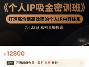 个人IP吸金密训班,打造高价值高效率的个人IP内容体系(价值12800元)-5D资源网