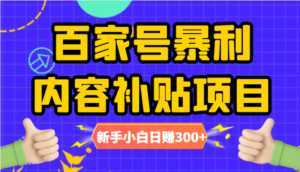 百家号暴利内容补贴项目,图文10元一条,视频30一条,新手小白日赚300+-5D资源网
