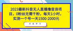 2023最新抖音无人直播撸音浪项目，0粉丝无需千粉，每天1小时，实测一个号一天1500-2000元-5D资源网