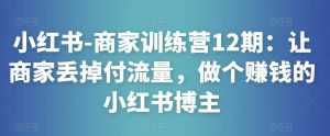 小红书-商家训练营12期:让商家丢掉付流量,做个赚钱的小红书博主-5D资源网
