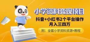 唐老师小学资料变现项目,抖音+小红书2个平台操作,月入数万元(全套资料+教程)-5D资源网