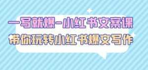 一写就爆-小红书文案课:带你玩转小红收爆文写作(45节课)-5D资源网