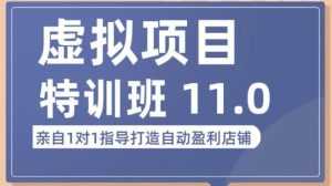 陆明明·虚拟项目特训班(10.0+11.0),0成本获取虚拟素材,0基础打造自动盈利店铺-5D资源网