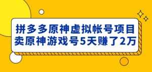 外面卖2980的拼多多原神虚拟帐号项目:卖原神游戏号5天赚了2万-5D资源网