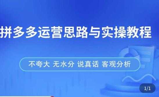 图片[1]-拼多多店铺运营思路与实操教程，快速学会拼多多开店和运营，少踩坑，多盈利-5D资源网