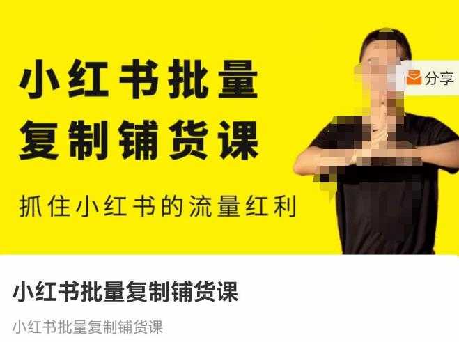 张宾·小红书批量复制铺货课，抓住小红书的流量红利 （更新2023年2月）-5D资源网