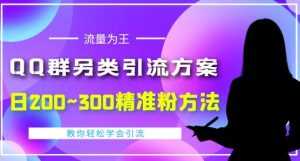价值888的QQ群另类引流方案,半自动操作日200~300精准粉方法【视频教程】-5D资源网
