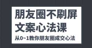 朋友圈不刷屏文案心法课 人人都要懂的商业逻辑 从0~1教你朋友圈成交心法-5D资源网