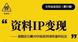 资料IP变现，能稳定日赚3000起的持续性盈利玩法-5D资源网