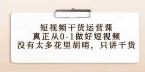 短视频干货运营课,真正从0-1做好短视频,没有太多花里胡哨,只讲干货-5D资源网