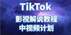外面收费2980元的TikTok影视解说、中视频教程,比国内的中视频计划收益高-5D资源网
