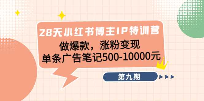 图片[1]-28天小红书博主IP特训营《第9期》做爆款，涨粉变现 单条广告笔记500-10000-5D资源网