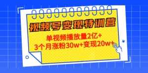 21天视频号变现特训营:单视频播放量2亿+3个月涨粉30w+变现20w+(第14期)-5D资源网