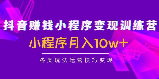 抖音赚钱小程序变现训练营：小程序月入10w+各类玩法运营技巧变现-5D资源网