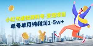 小红书虚拟资料号-变现项目:单号单月纯利润1-5w+实操玩法分享-5D资源网