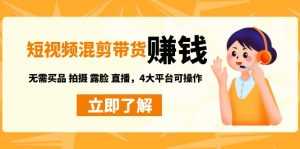 短视频带货赚钱混剪特训营:无需囤货发货 拍摄 露脸 直播,4大平台可操作-5D资源网