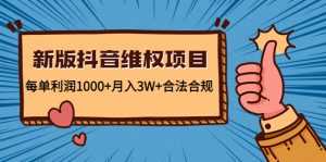 新版抖音维全项目：每单利润1000+月入3W+合法合规-5D资源网