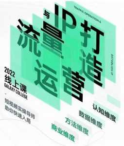 大蓝流量运营&个人ip打造课,短视频带货/爆款文案/流量运营/直播入门/镜头变现/流量商业-5D资源网