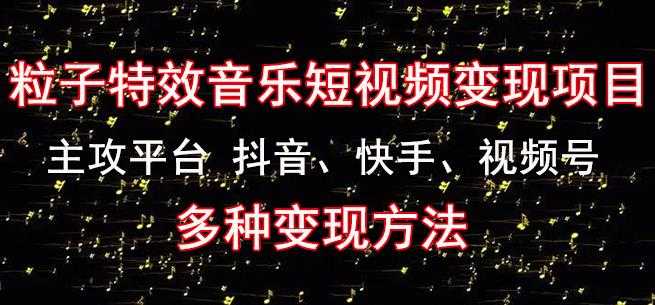 黄岛主《粒子特效音乐短视频变现项目》主攻平台抖音、快手、视频号多种变现方法-5D资源网