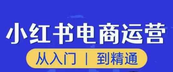 顽石小红书电商高阶运营课程，从入门到精通，玩法流程持续更新-5D资源网