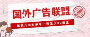 外面收费1980的最新国外LEAD广告联盟搬砖项目,单号一天至少30美金【详细玩法教程】-5D资源网