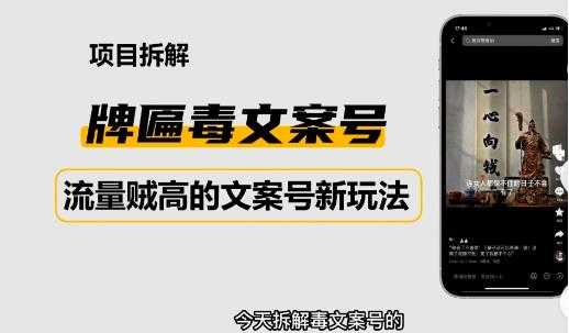 2023抖音快手毒文案新玩法，牌匾文案号，起号快易变现-5D资源网