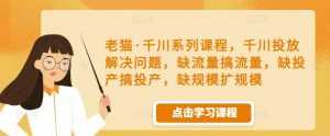 老猫·千川系列课程,千川投放解决问题,缺流量搞流量,缺投产搞投产,缺规模扩规模-5D资源网