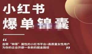 小红书爆单锦囊,自带种草属性+高质量女性用户,为你的企业开辟一条新的掘金路径-5D资源网