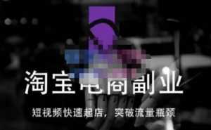 蓝Sir派·淘宝短视频快速起店,替代传统搜索方式,学会做一个不一样的淘宝店-5D资源网